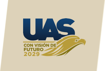 UAS Visión 2029